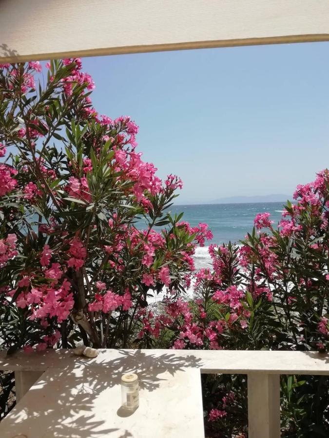 Villa "Sea Front" Rose'S House Kardhianí Exterior foto
